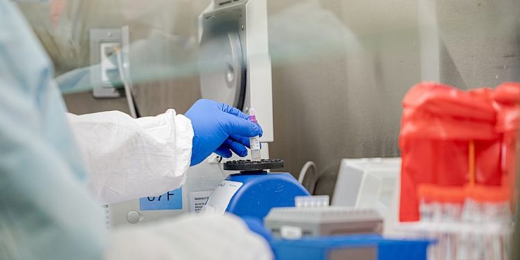 Koronawirus. Jest najnowszy raport o zakażeniach! Są też nowe ofiary