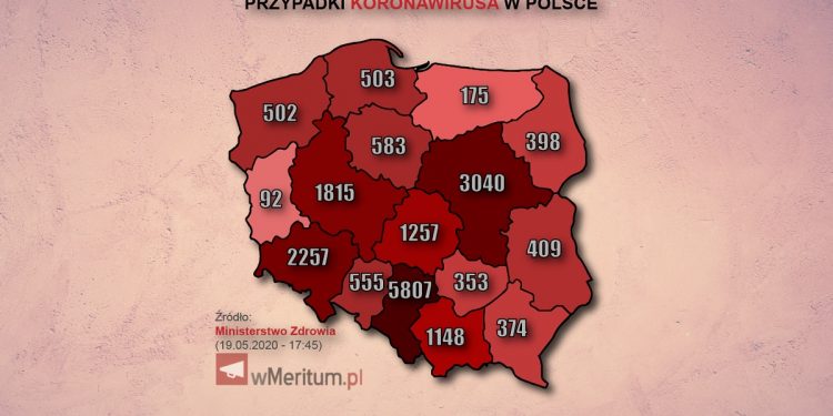 mapa zakażeń
