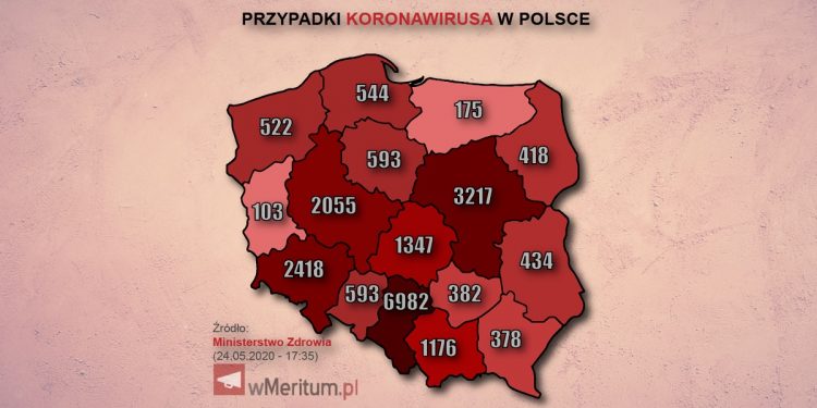 mapa zakażeń
