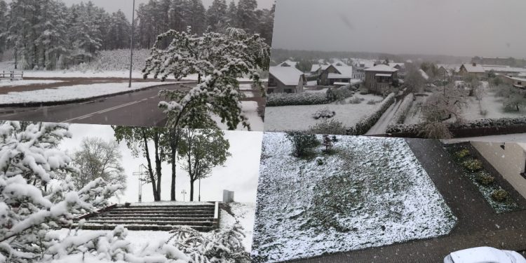 W wielu miejscach Polski spadł śnieg. Internauci pokazują zdjęcia [FOTO]