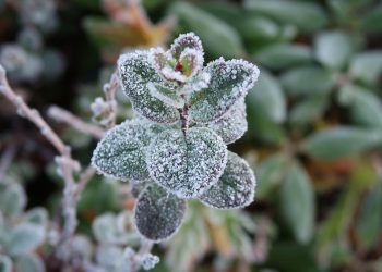 Przed nami załamanie pogody. Potężna różnica temperatur, burze z gradem i przymrozki!