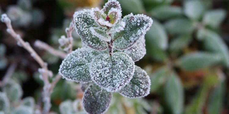 Przed nami załamanie pogody. Potężna różnica temperatur, burze z gradem i przymrozki!