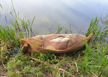 Wrocław. Zwłoki psa owinięte w dywan w stawie. Szukają świadków