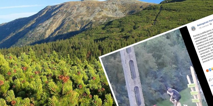 Skandaliczne zachowanie turysty. Park narodowy publikuje zdjęcie [FOTO]