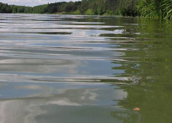 Utonął w jeziorze. Chciał ratować tonącego 7-latka