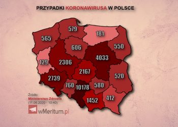 mapa przypadków koronawirusa 11 czerwca