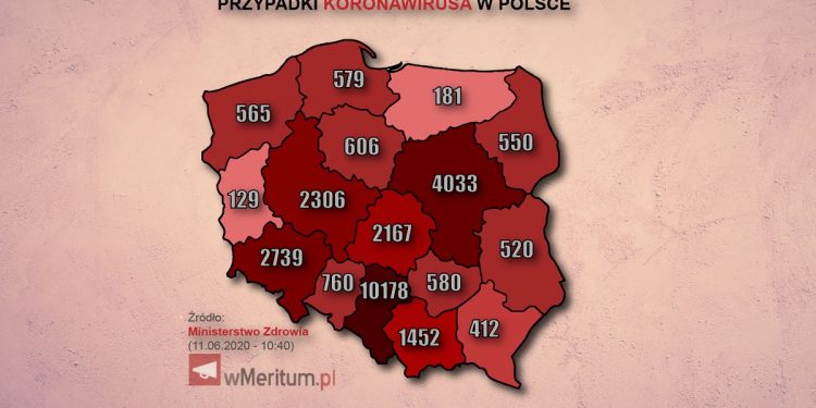 mapa przypadków koronawirusa 11 czerwca