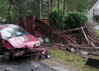 Staranował ogrodzenie, a potem uciekł do lasu. Był agresywny