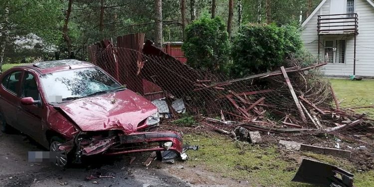 Staranował ogrodzenie, a potem uciekł do lasu. Był agresywny