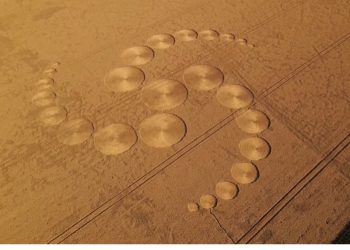 UFO w Nadarzycach? Rolnik znalazł tajemnicze kręgi w zbożu [WIDEO]