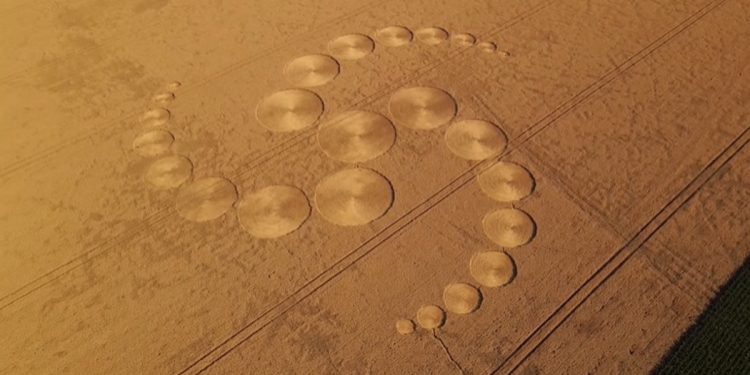 UFO w Nadarzycach? Rolnik znalazł tajemnicze kręgi w zbożu [WIDEO]