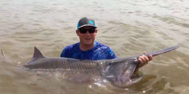 Wędkarz pochwalił się nie lada osiągnięciem. Największa tego typu ryba na świecie? [WIDEO]