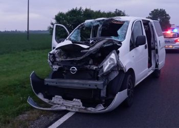 Łoś zmiażdżył samochód! W środku były trzy osoby