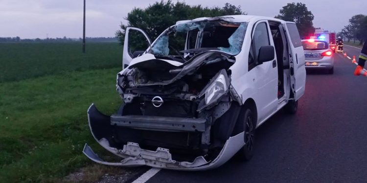 Łoś zmiażdżył samochód! W środku były trzy osoby