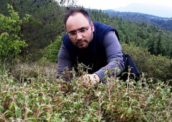 Grek, który uczy smaku niezwykłej herbaty