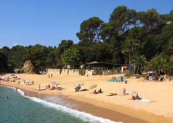 Niewielka rybka zabiła 16-latka. Wystarczyło ugryzienie