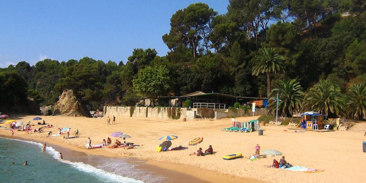 Niewielka rybka zabiła 16-latka. Wystarczyło ugryzienie