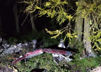 Mały samolot rozbił się w lesie! Są ofiary