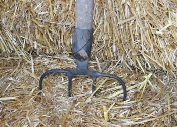 Pijany wszedł na posesję. Właściciel… przebił go widłami