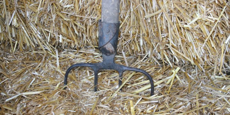 Pijany wszedł na posesję. Właściciel… przebił go widłami