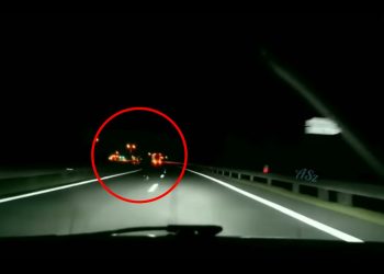 Przerażające nagranie z kamery samochodowej. Zwierzę nagle wyłoniło się z mroku [WIDEO]
