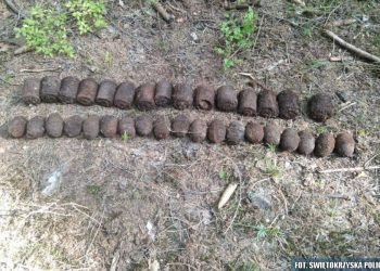 Wybrał się na grzyby. Nie spodziewał się, co zastanie w lesie