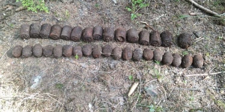 Wybrał się na grzyby. Nie spodziewał się, co zastanie w lesie