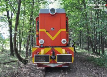 Kolejka wąskotorowa potrąciła mężczyznę. Prawdopodobnie zasnął na torach