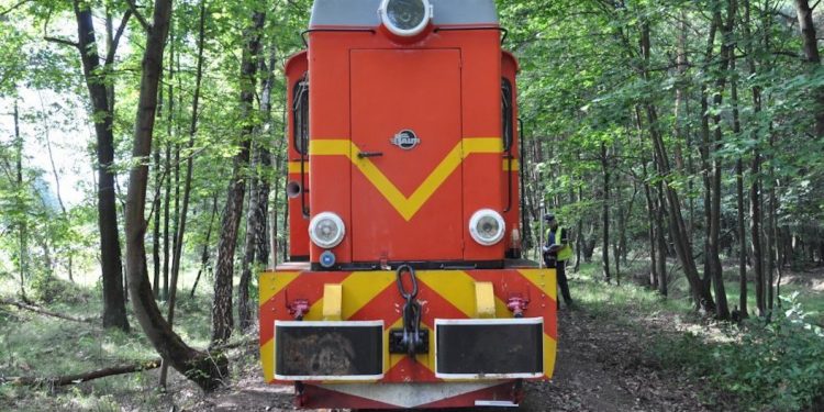Kolejka wąskotorowa potrąciła mężczyznę. Prawdopodobnie zasnął na torach
