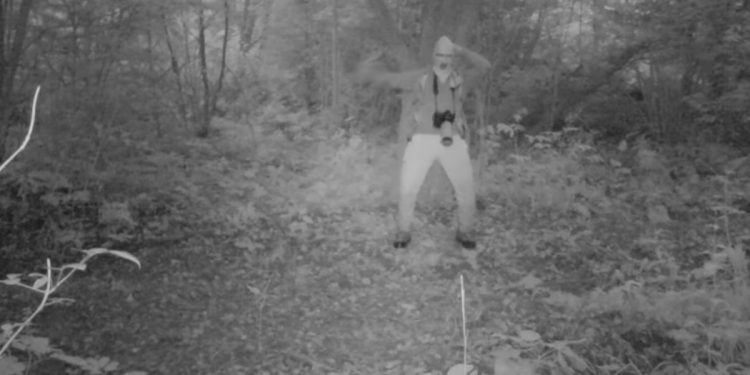 Leśnicy opublikowali nagranie z fotopułapki. Mężczyzna… tańczył makarenę [WIDEO]