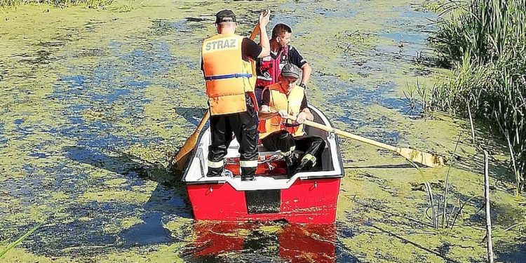 To koniec poszukiwań 25-latka. Tragiczny finał