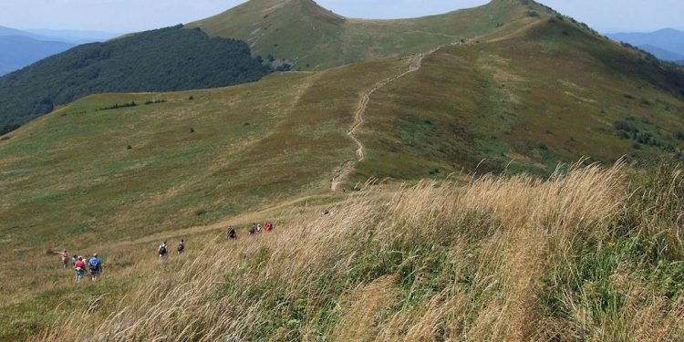 Zwłoki odnalezione w Bieszczadach. To działacz „Solidarności”?