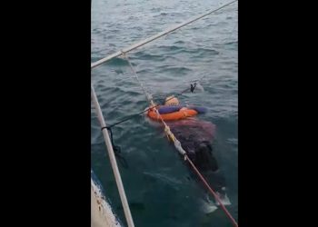 Wyłowili dryfującą kobietę. Zaginęła 2 lata temu! [WIDEO]