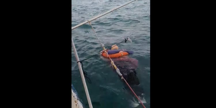 Wyłowili dryfującą kobietę. Zaginęła 2 lata temu! [WIDEO]