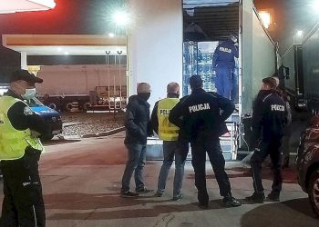 Nielegalny imigrant w naczepie. Ukrył się za groszkiem