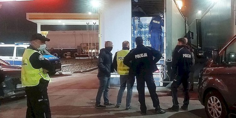 Nielegalny imigrant w naczepie. Ukrył się za groszkiem