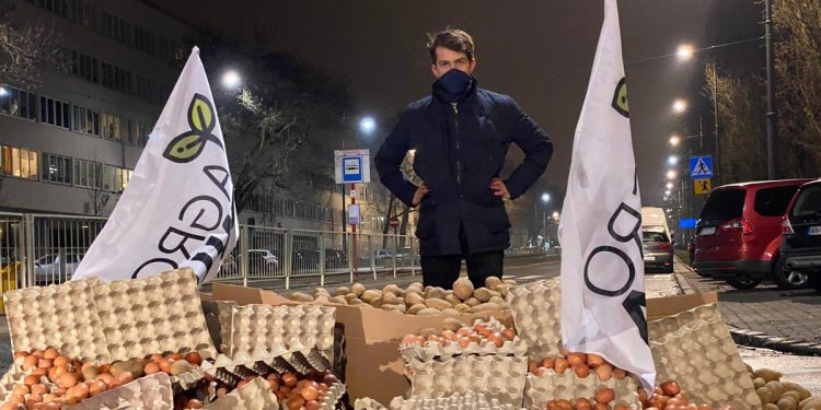 Rolnicy protestują! Jaja, ziemniaki i… martwa świnia niedaleko domu Kaczyńskiego [WIDEO]