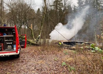 Spłonął „Dąb Rzeczypospolitej”. Pomnik przyrody miał ok. 500 lat