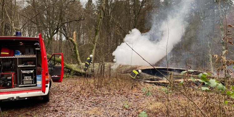 Spłonął „Dąb Rzeczypospolitej”. Pomnik przyrody miał ok. 500 lat