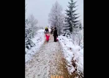 Skandaliczne zachowanie rowerzysty. Kopnął 5-latkę, bo nie zdążyła zejść mu z drogi [WIDEO]