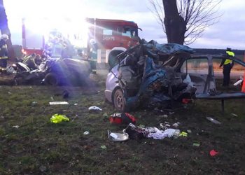 Samochód zderzył się z dzikiem i uderzył w drzewo. Kobieta i miesięczne dziecko nie żyją