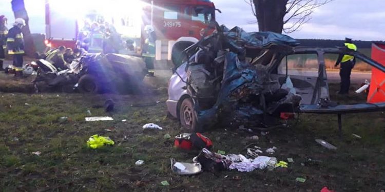 Samochód zderzył się z dzikiem i uderzył w drzewo. Kobieta i miesięczne dziecko nie żyją