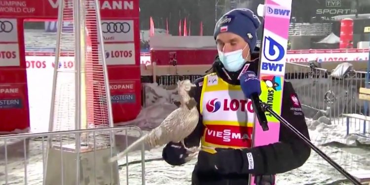 Piotr Żyła skończył 34 lata. Otrzymał nietypowy prezent [WIDEO]