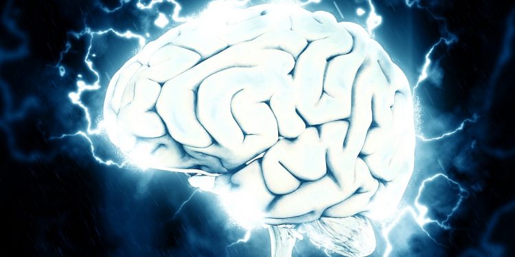 mózg człowiek