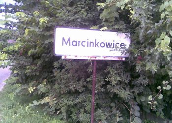 Padł ofiarą handlu narządami. Mieszkańcy jego miejscowości w szoku. „Był najmłodszym dzieckiem, oczkiem w głowie”