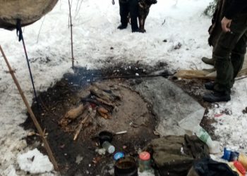 Dwa lata ukrywał się przed policją w Bieszczadach! W końcu wpadł