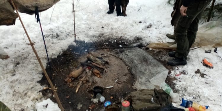 Dwa lata ukrywał się przed policją w Bieszczadach! W końcu wpadł