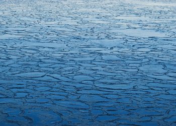 26-latek wszedł na lód za swoim psem. Tragiczny finał