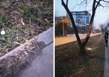 Tajemnicze tabletki na ulicach Warszawy. Mogą być niebezpieczne?