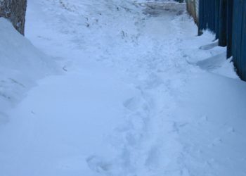 4-latek boso i w piżamie szedł sam… do przedszkola